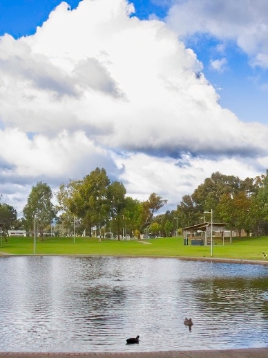 Collins Reserve, SA - NXT Grey