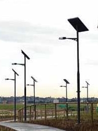 Pecan Solar Lighting 11