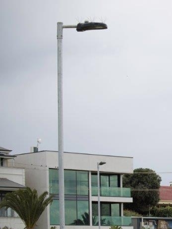 West Lakes, SA - NXT Black with Bird Spikes