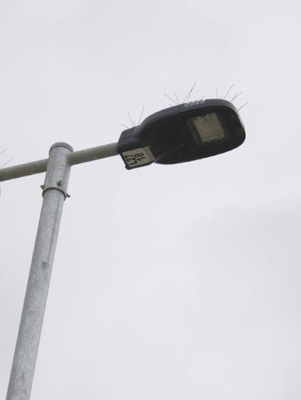 West Lakes, SA - NXT Black with Bird Spikes